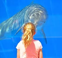 Campings proches d'un aquarium