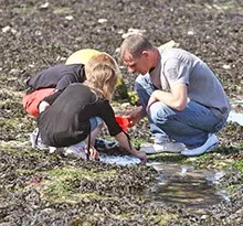 Campings pêche à pied Flower Campings de la Reneville