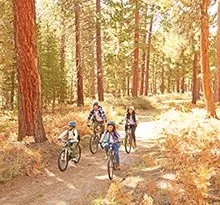Vacances toussaint balade a vélo en foret