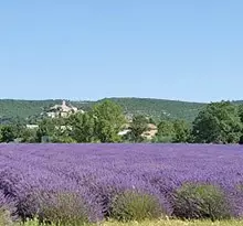 vacances en camping en provence, camping a banon