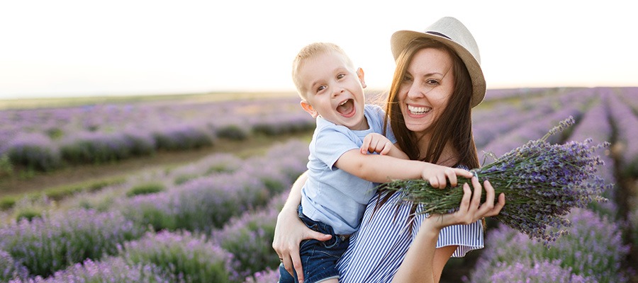 Camping en Provence : Top 5 des incontournables