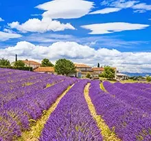 camping en provence