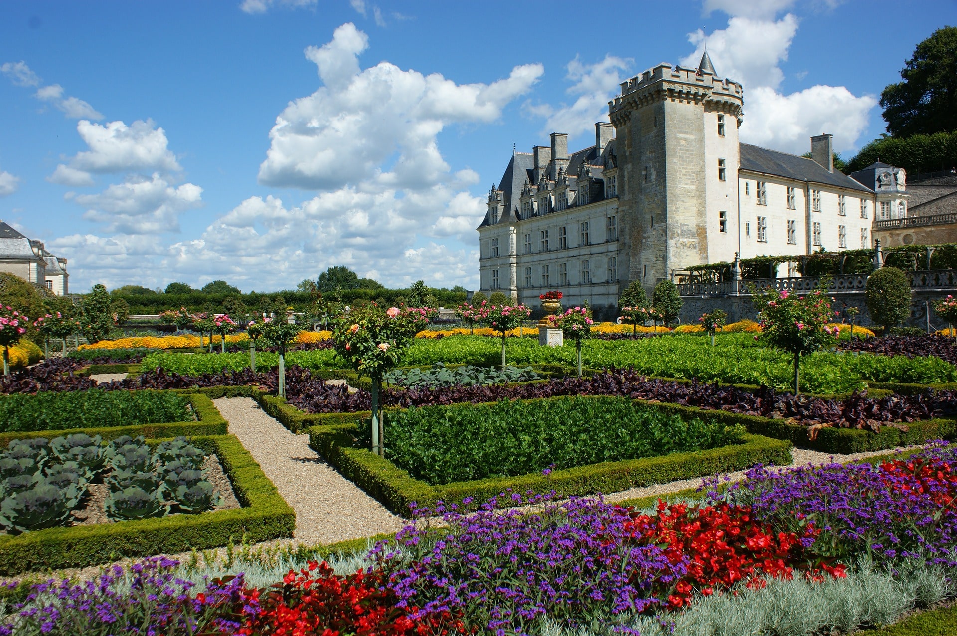 Le château de Villandry et ses jardins : rosiers, orangerie, potagers et labyrinthe