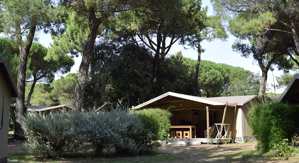 camping en charente maritime bel air