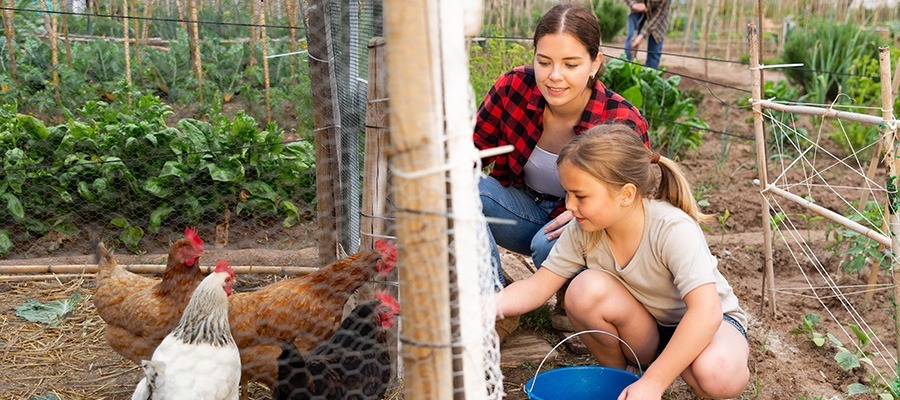 camping ecologique - gestion des dechets