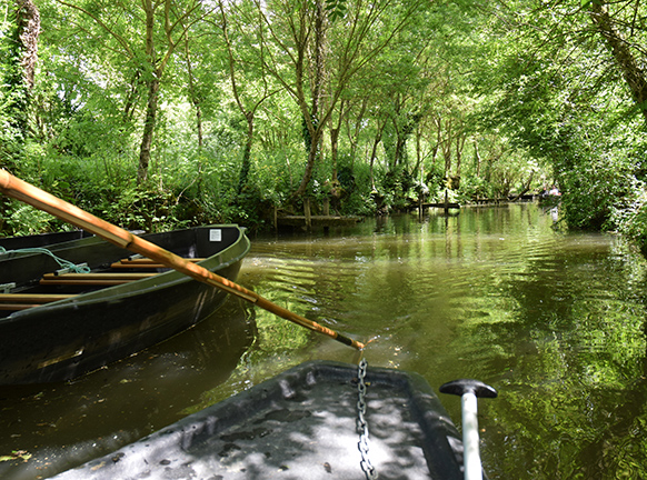 Visiter le marais poitevin lors d'un séjour au Puy du Fou