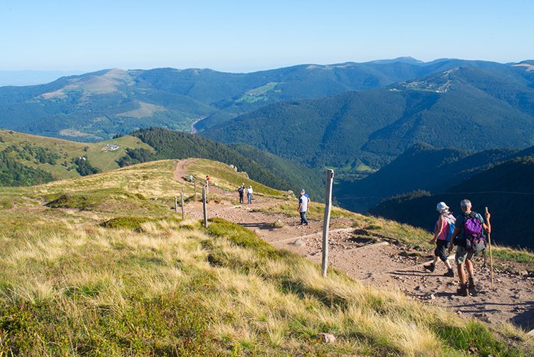 Randonnée vacances dans les Vosges sur le col du Hohneck